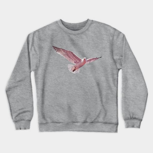 Pink Gull 2 - herring gull painting (no background) Crewneck Sweatshirt by EmilyBickell